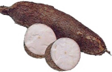 http://www.mycolombianrecipes.com/wp-content/uploads/2009/02/yuca.jpg