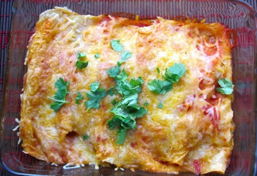 Chicken Enchiladas