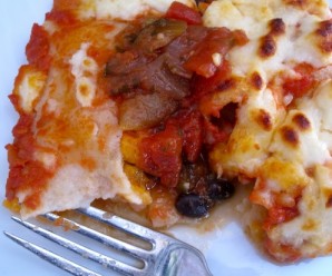 Meatless Enchiladas with salsa