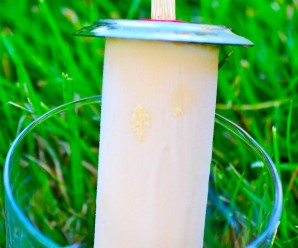 Paletas de Arequipe y Coco (Dulce de Leche and Coconut Popsicles)