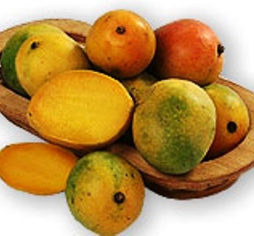 Mango