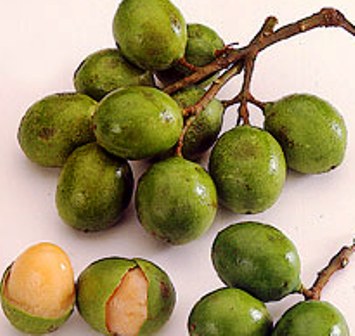 Colombian Fruits (Frutas Colombianas)
