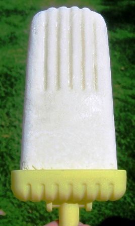 Paleta De Coco