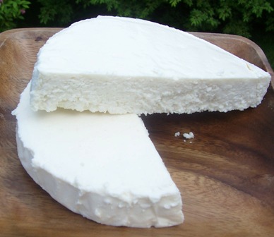 Queso Fresco002