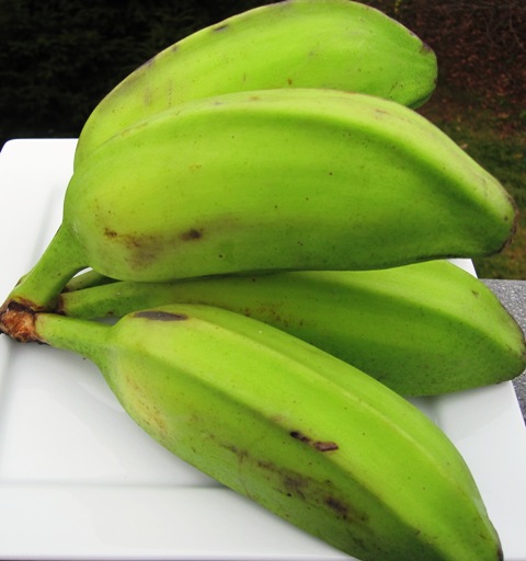 food baby banana de My Colombian Recipes Soup Guineo Guineo) (Sopa food baby banana de My Colombian Recipes Soup Guineo Guineo) (Sopa
