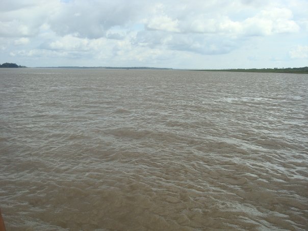 Amazonas11