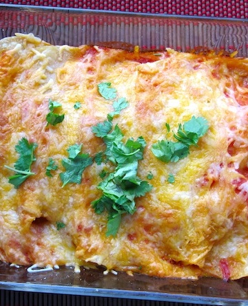 Chicken Enchiladas