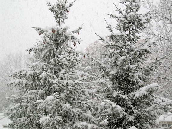 Snow Snow