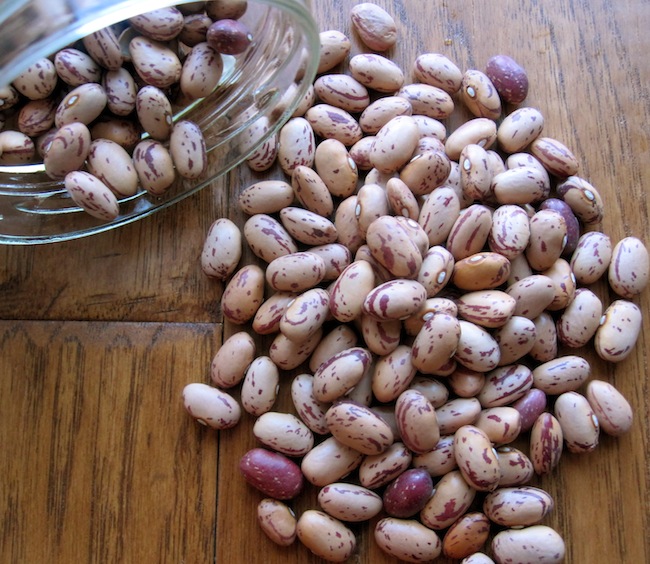 Cranberry Beans