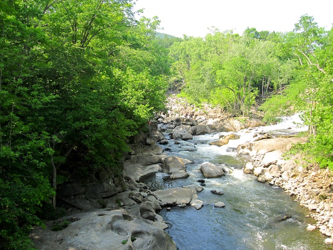 Bridge View