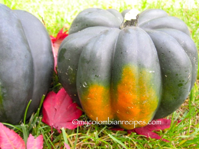 Ahuyama capon (pumpkin or stuffed squash)