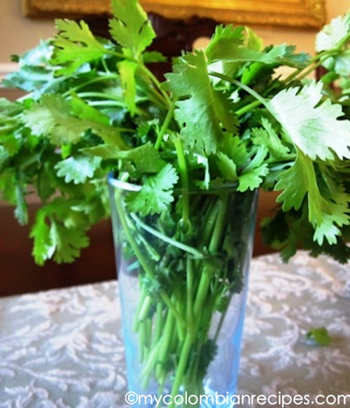 Arroz con Cilantro (Cilantro Rice)