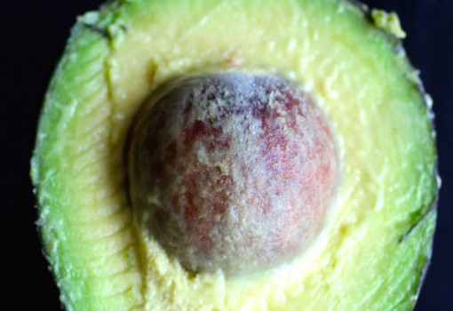 Everything Avocado |mycolombianrecipes.com