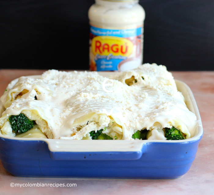 Chicken and Broccoli Alfredo Lasagna Rolls