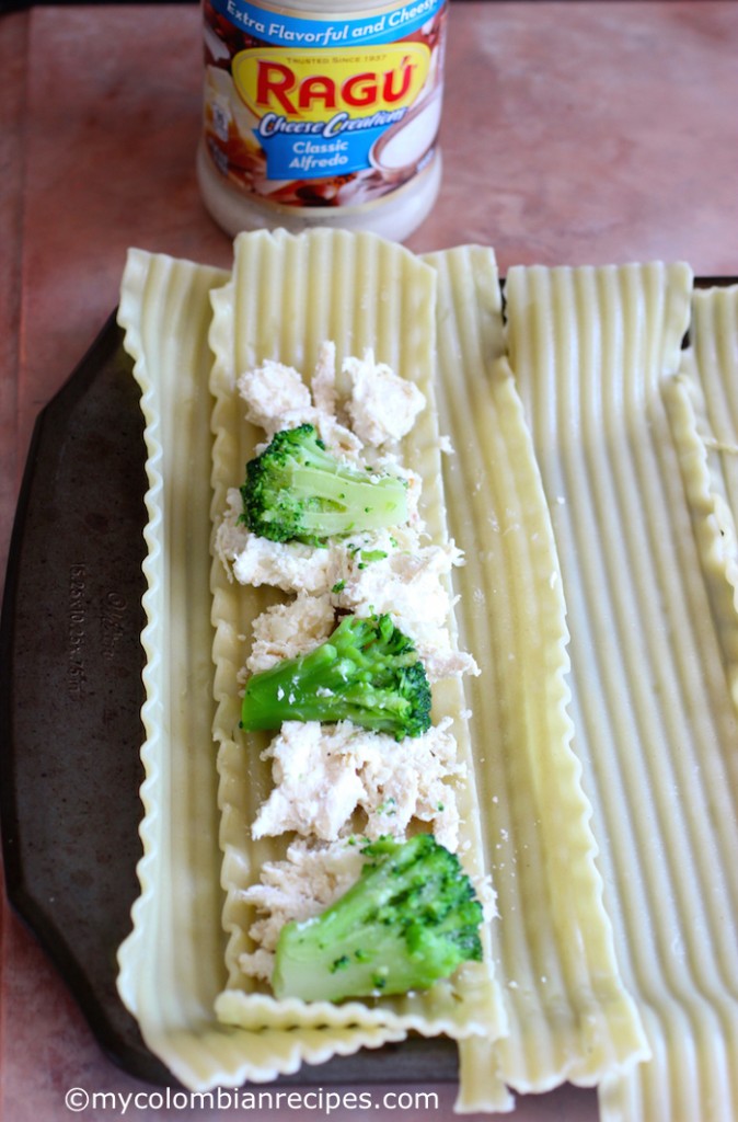 Chicken and Broccoli Alfredo Lasagna Rolls
